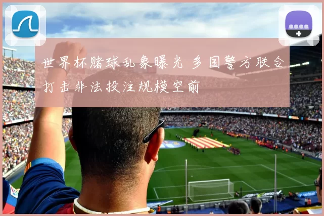 世界杯赌球乱象曝光 多国警方联合打击非法投注规模空前