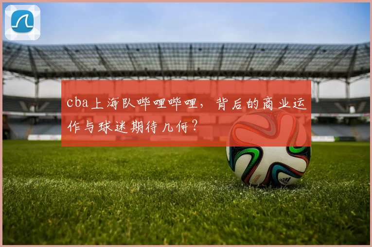 cba上海队哔哩哔哩，背后的商业运作与球迷期待几何？