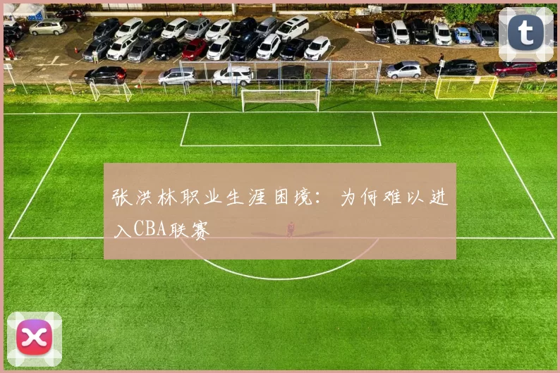 张洪林职业生涯困境：为何难以进入CBA联赛