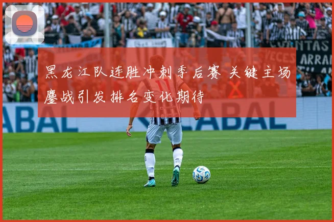 黑龙江队连胜冲刺季后赛 关键主场鏖战引发排名变化期待