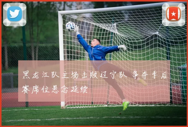黑龙江队主场击败辽宁队 争夺季后赛席位悬念延续