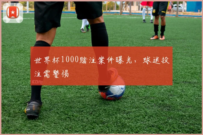 世界杯1000赌注案件曝光，球迷投注需警惕